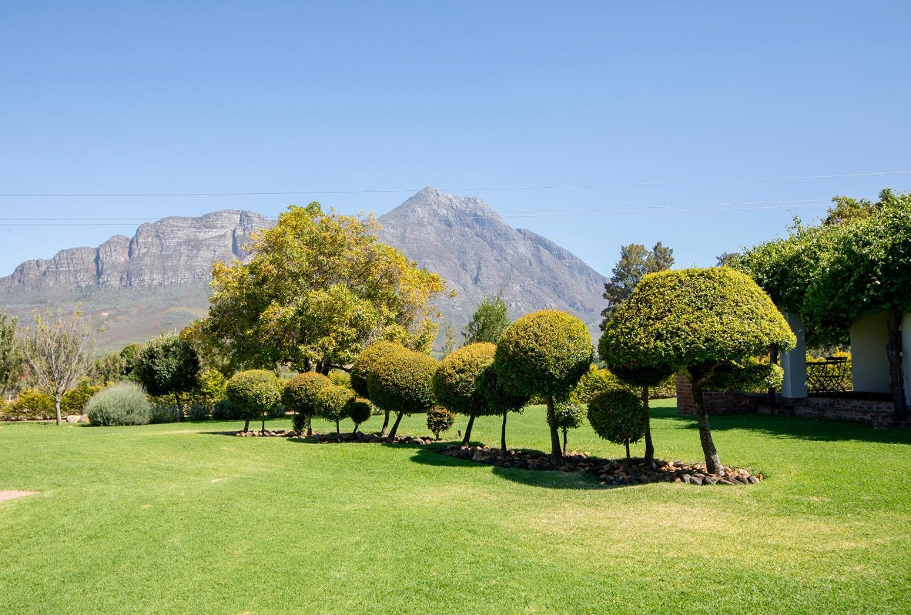Saronsberg Vineyard Cottages Tulbagh Exteriér fotografie