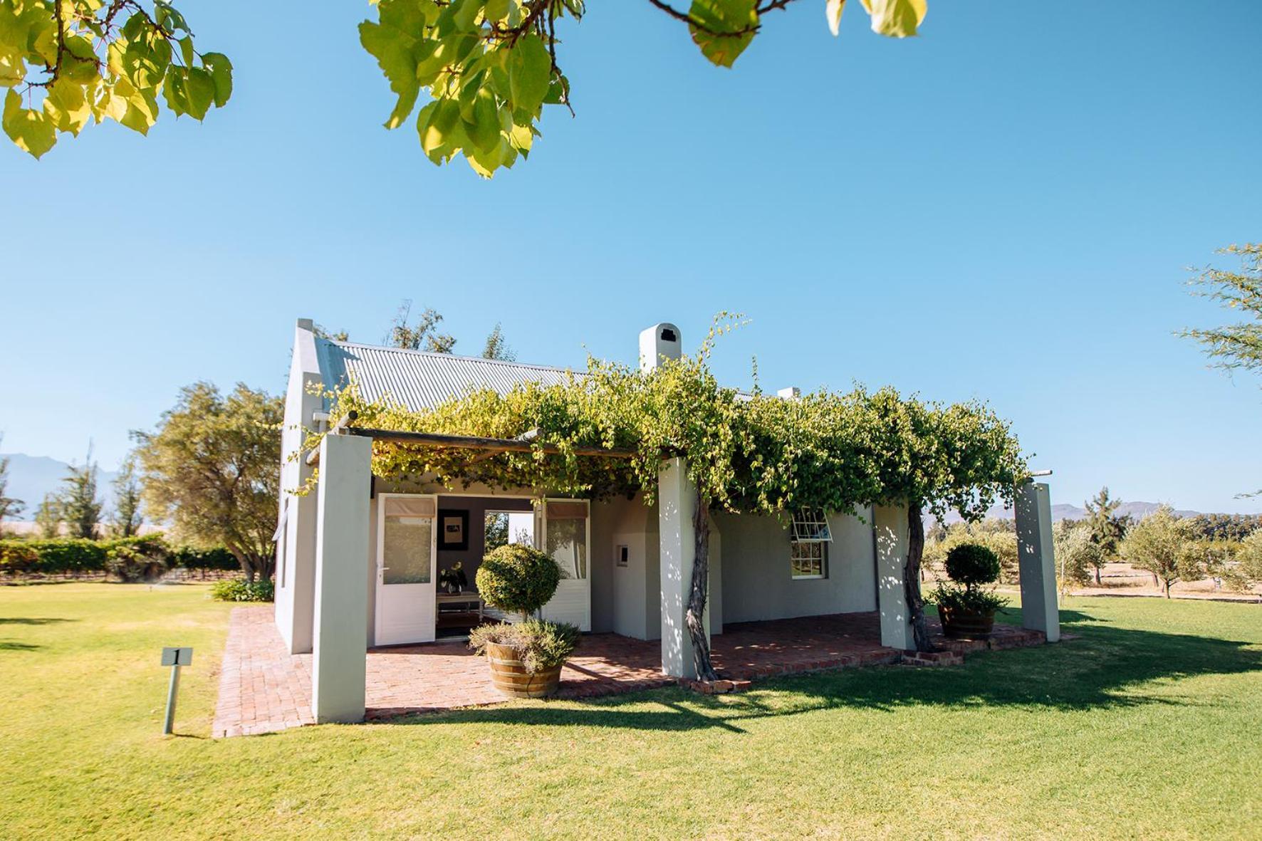 Saronsberg Vineyard Cottages Tulbagh Exteriér fotografie