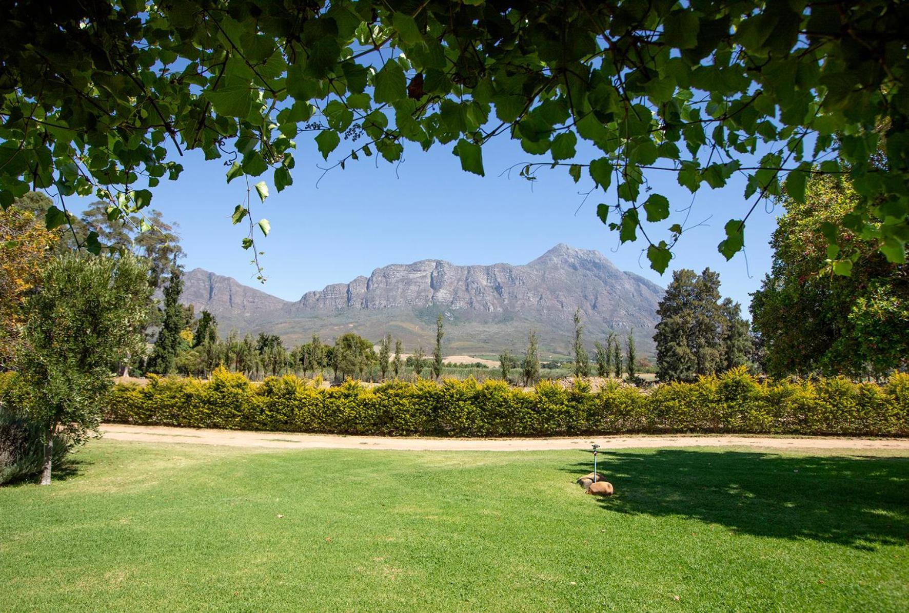 Saronsberg Vineyard Cottages Tulbagh Exteriér fotografie