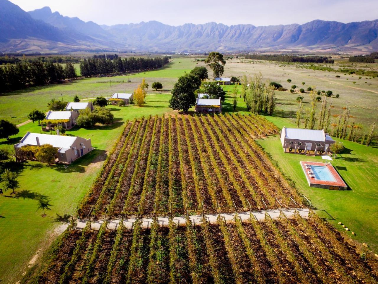 Saronsberg Vineyard Cottages Tulbagh Exteriér fotografie